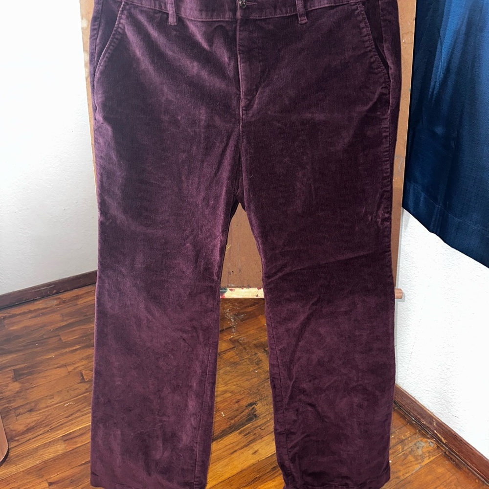 Torrid Purple Corduroy Pants Elegant Design